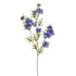 Cornflower 71Cm - Blue