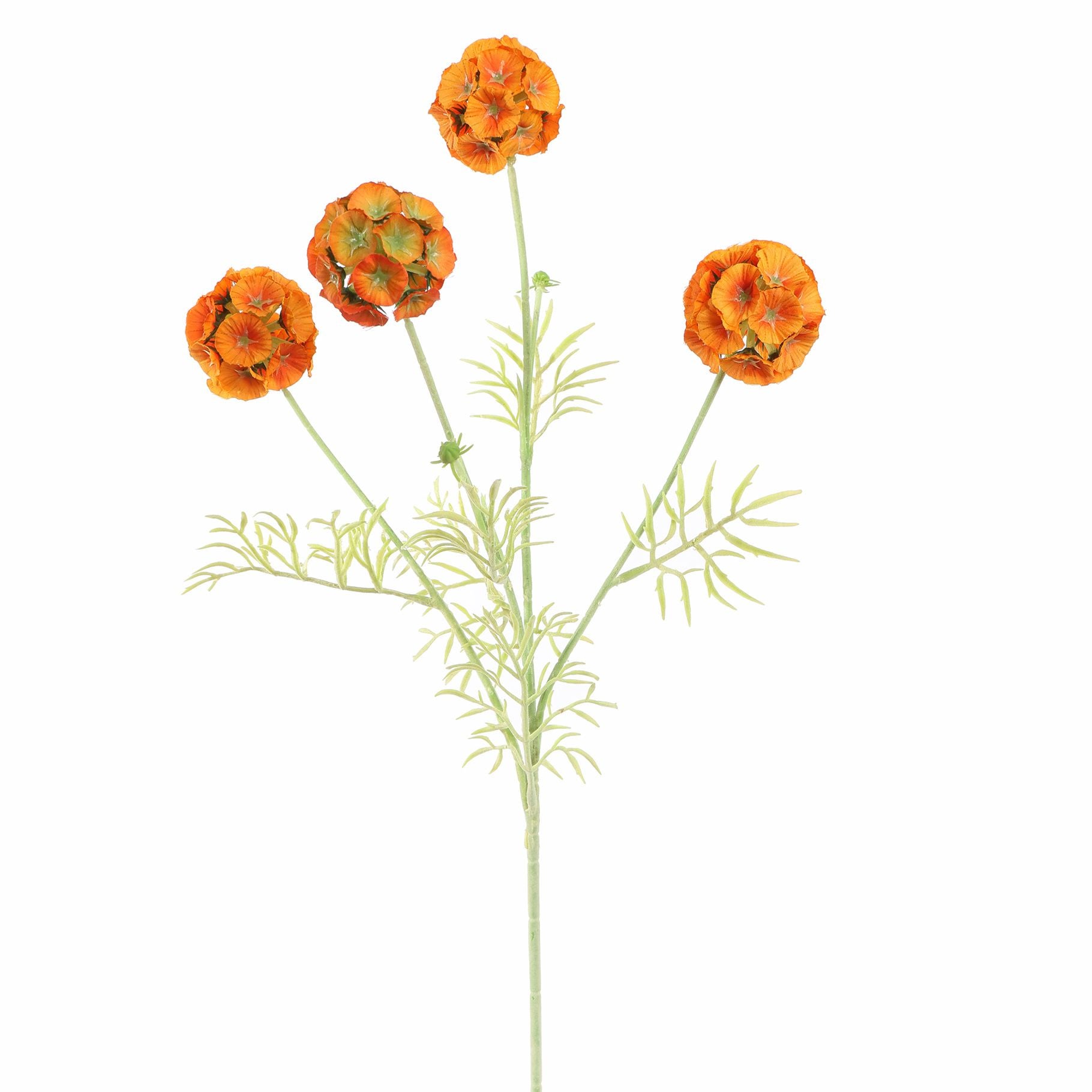 Scabiosa Pod Spray 60Cm - Orange