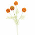 Scabiosa Pod Spray 60Cm - Orange