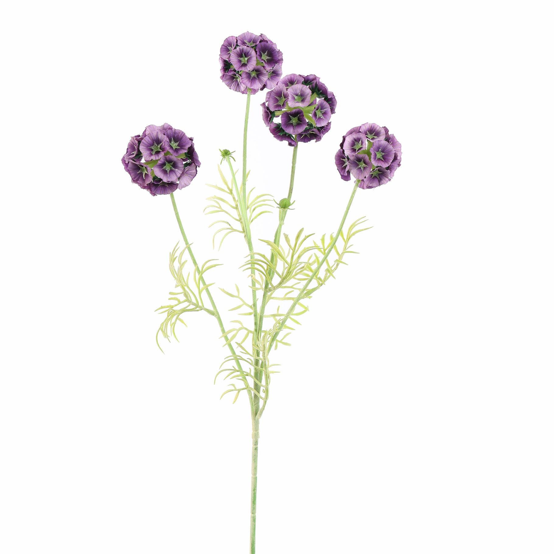 Scabiosa Pod Spray 60Cm - Purple