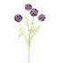 Scabiosa Pod Spray 60Cm - Purple