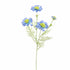 Scabiosa 60Cm - Blue
