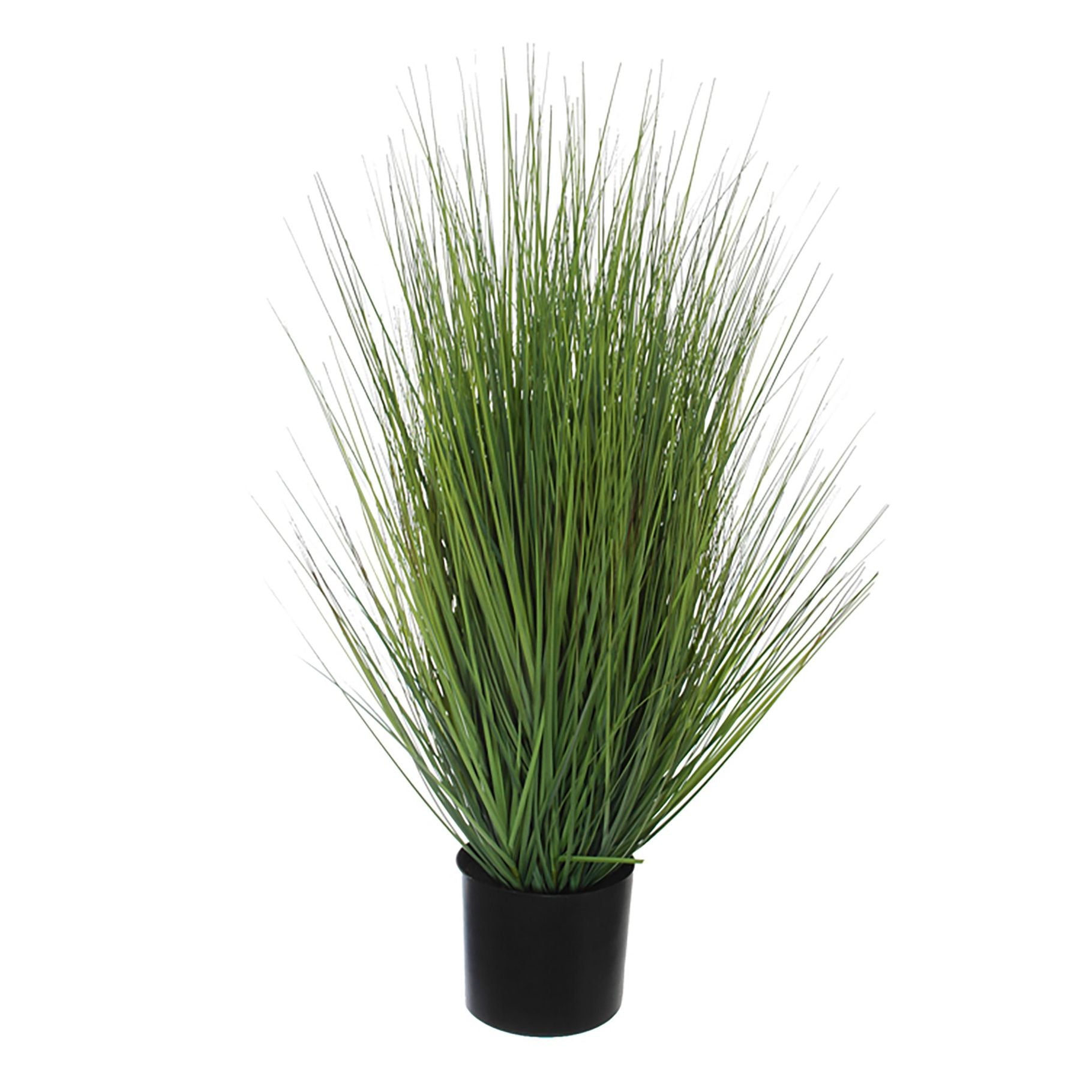 Wide Grass In Pot H 90Cm - Green