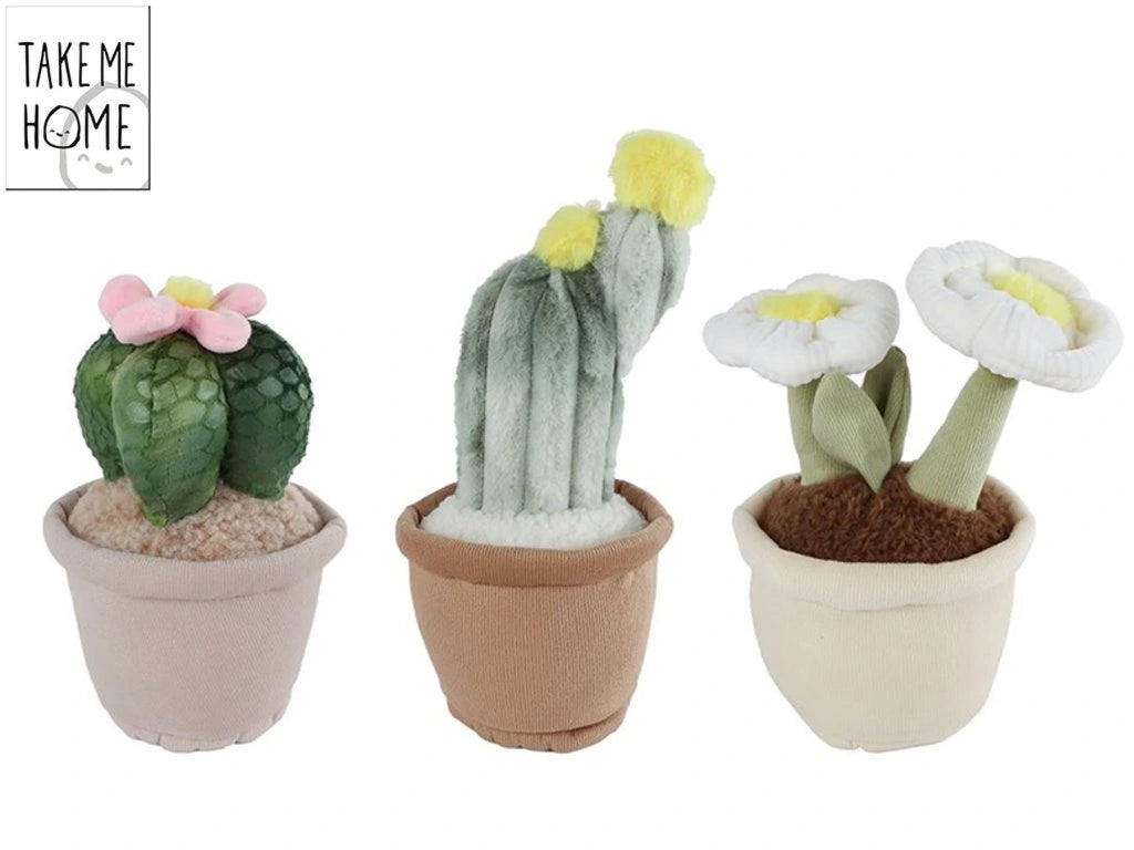 TAKE ME HOME Plant/Woestijnplant pluche L ass. 25cm