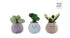 TAKE ME HOME Plant ronde pot pluche L ass. 22cm