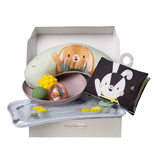 TAF TOYTS Tummy-Time essential kit