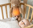 NATTOU Nachtlamp sleepy beer knuffel - teddy bruin