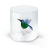 WD Glas 250ml in borosilicaat glas - kolibrie deco