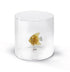 WD Glas 250ml in borosilicaat glas - tropische vis goud deco