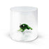 WD Glas 250ml in borosilicaat glas - kikker deco