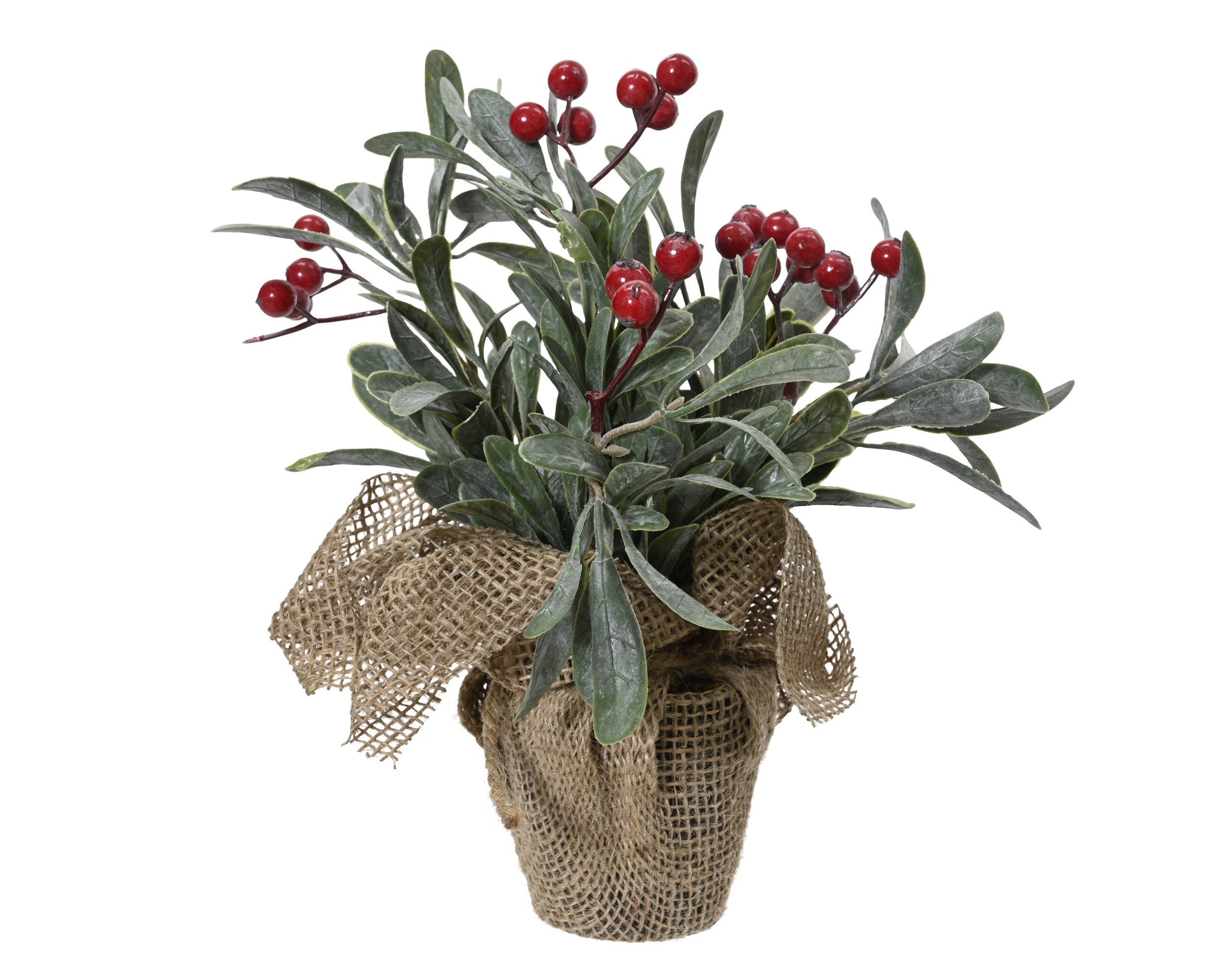 Kerst plant in pot 18x23cm - groen/rood