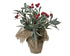 Kerst plant in pot 18x23cm - groen/rood