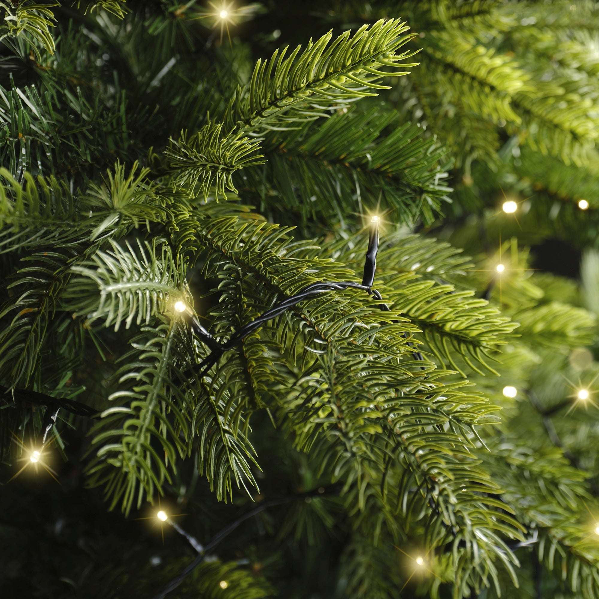 Lumineo LED basic 2700cm 360L - zwart/soft gold  - kerstverlichting