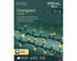 Lumineo LED compact twinkel 4500cm 2000L - groen/soft gold - kerstverlichting