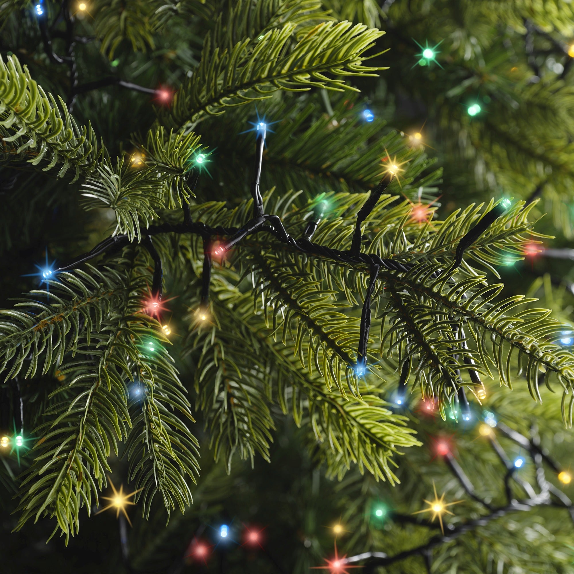 Lumineo LED excellent twinkel 2500cm 1584L - zwart/multi - kerstverlichting