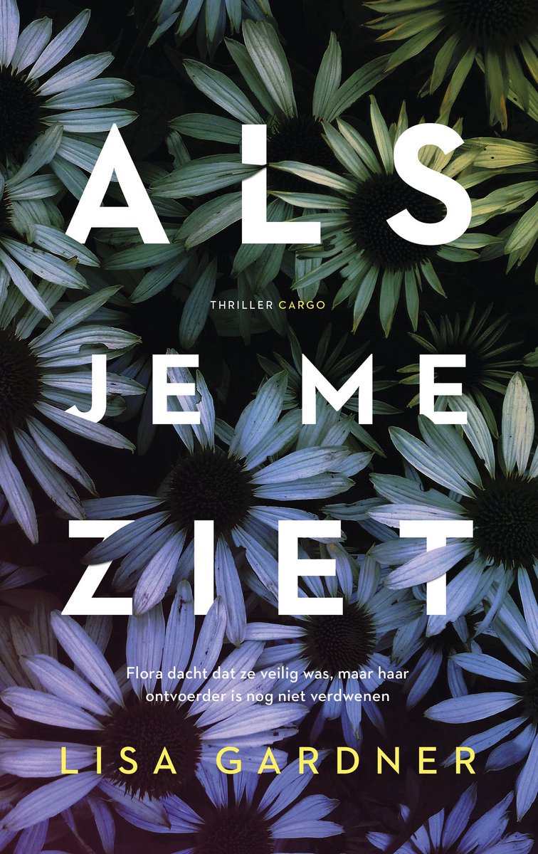 DD Warren 12 - Als je me ziet - Lisa Gardner