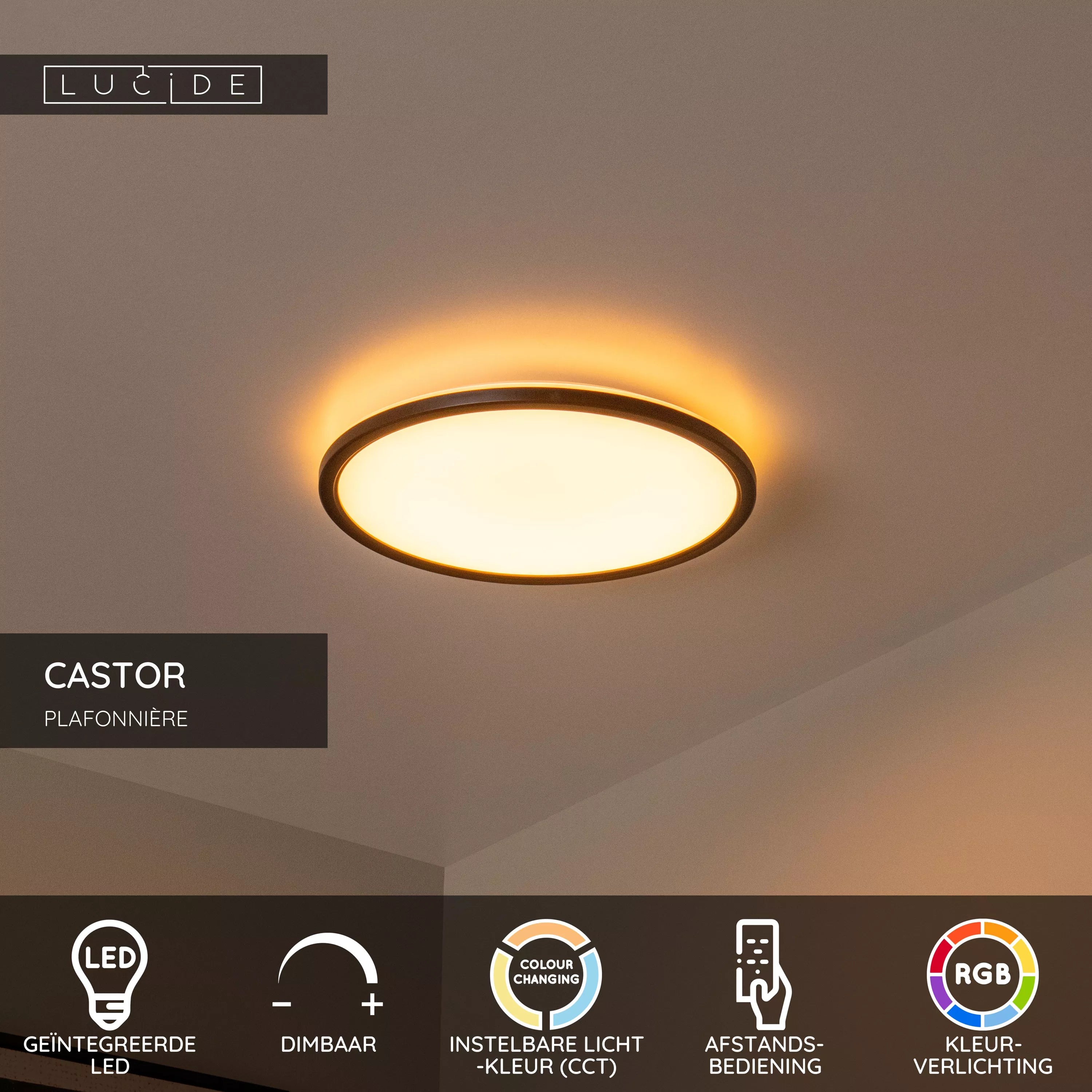 Lucide CASTOR Plafondlamp binnen/ buiten 32cm - LED dimb. CCT - 1x20W 2700K/6500K IP44 RGB opaal