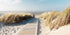 Glasschilderij Strand - 160x80cm