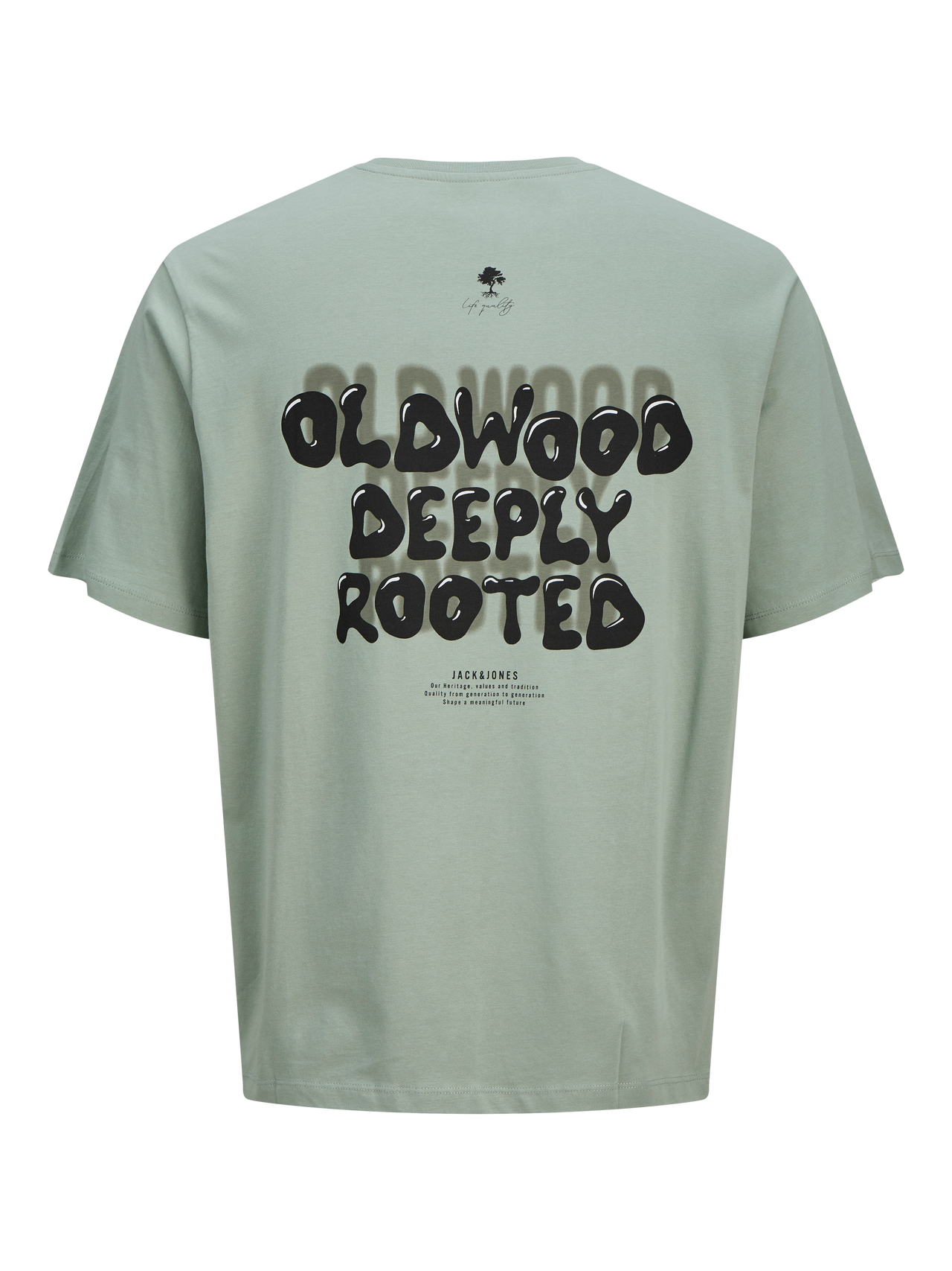 JACK&JONES T-shirt JJWOBLY - iceberg green - 164