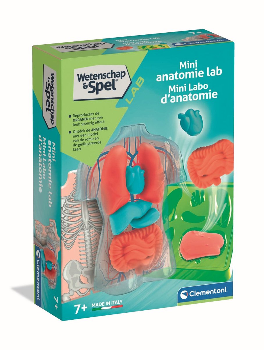 CLEMENTONI Anatomie squishy