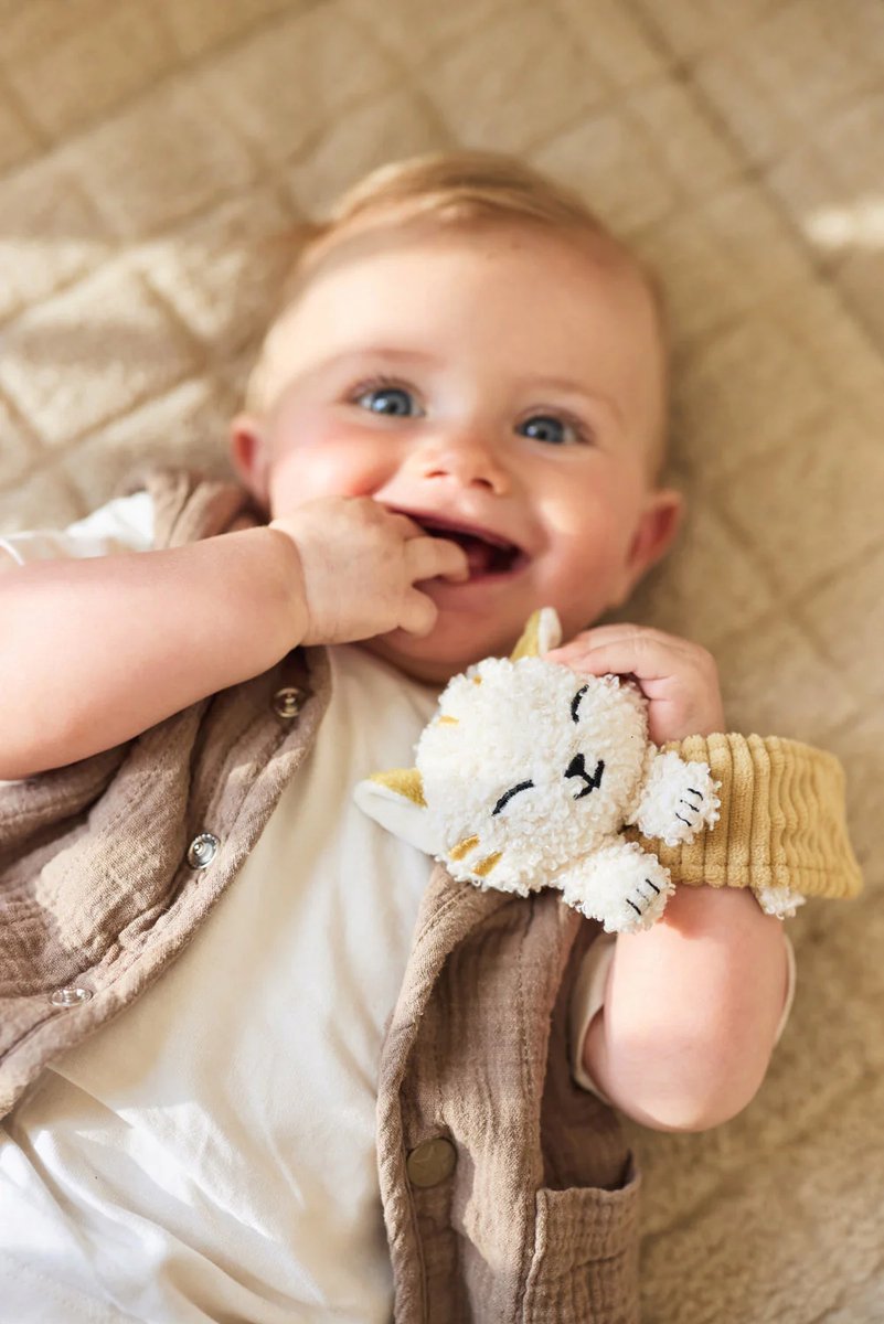 JOLLEIN Charlie Cat polsrammelaar