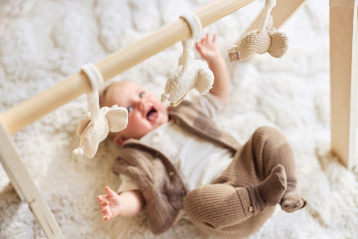 JOLLEIN Elephant Tales babygym speeltjes