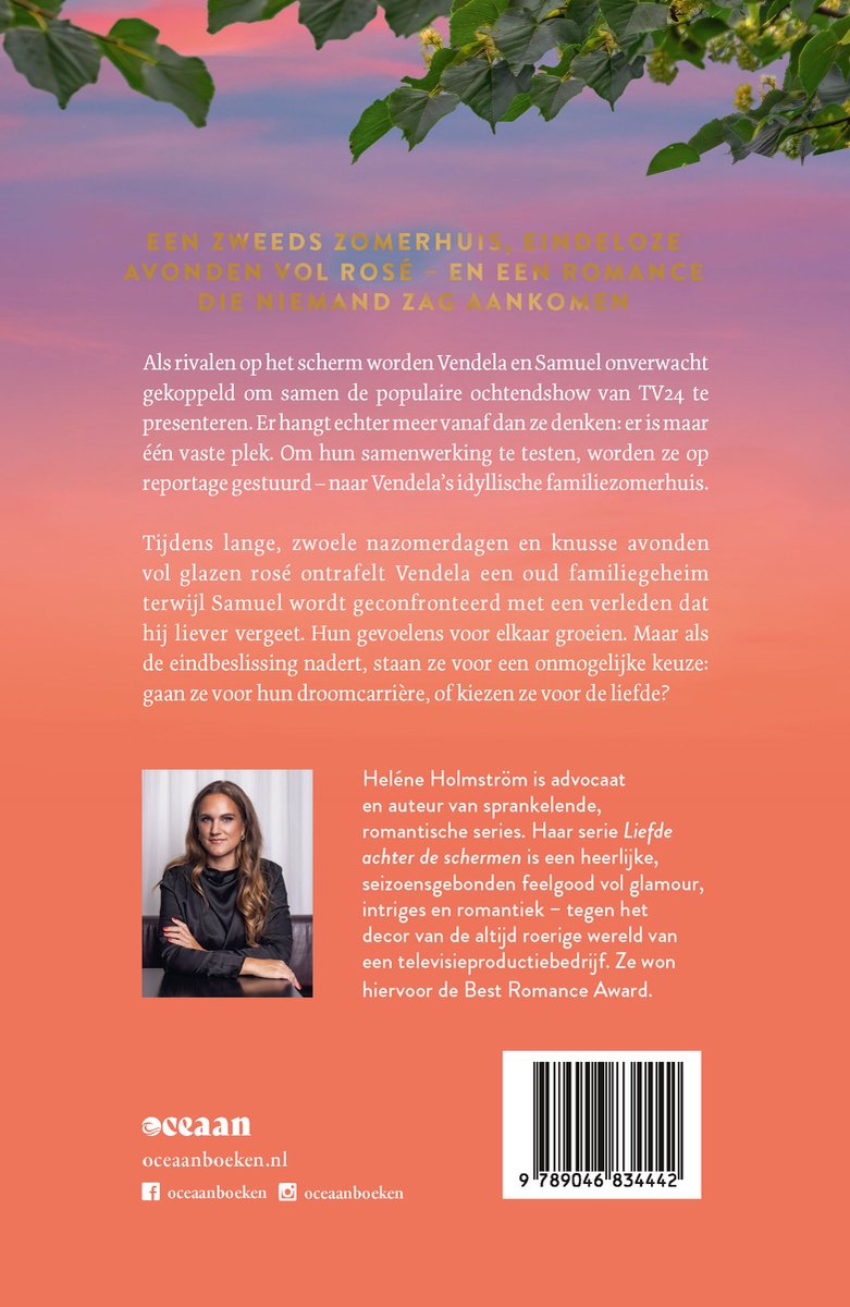 Liefde achter de schermen - Zee, rose en avondrood - Helene Holmstrom