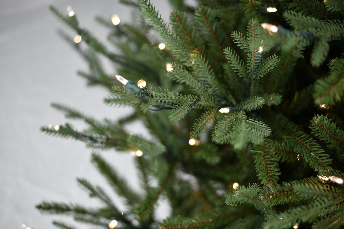 Kerstboom Arkansas wooden LB base - h 228cm 550L PTP