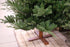 Kerstboom Arkansas wooden LB base - h 228cm 550L PTP