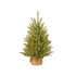 Kerstboom Dunhill fir - h 61cm burlap