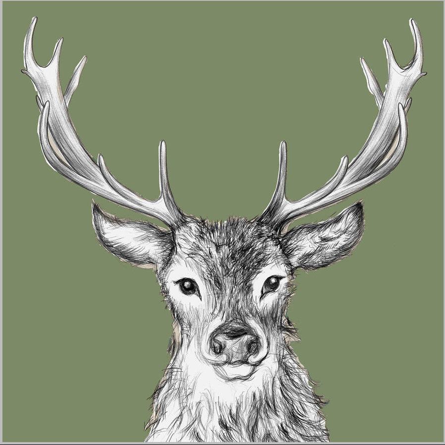 PPD Servetten 25x25cm - Paul green