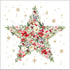 PPD Servetten 25x25cm - Beautiful Christmas Star