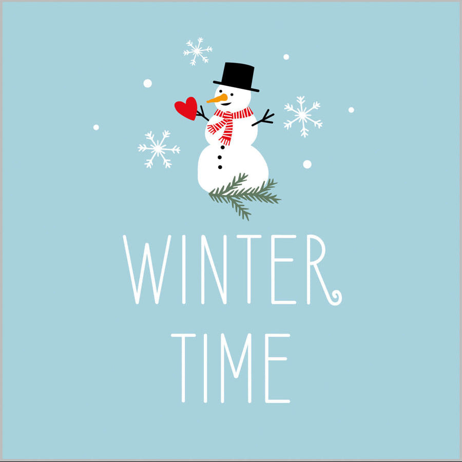 PPD Servetten 25x25cm - Winter Time