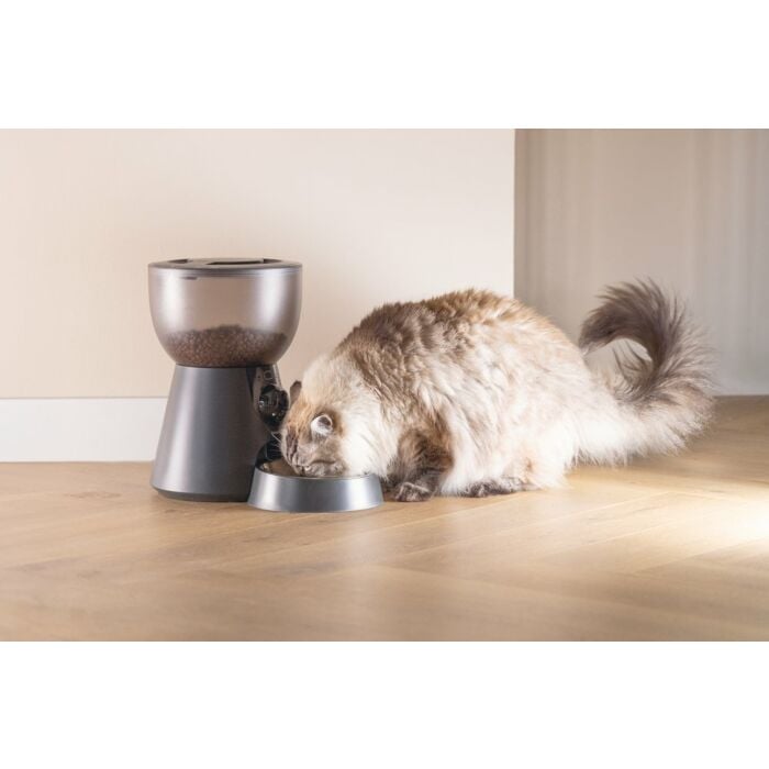 BEEZTEES Smartvoederbak antraciet 4L