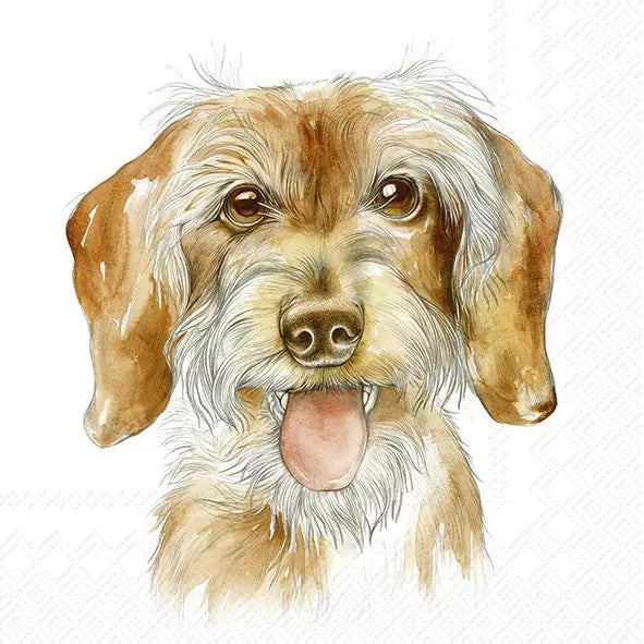 IHR Servetten 25x25cm - Fritz mix