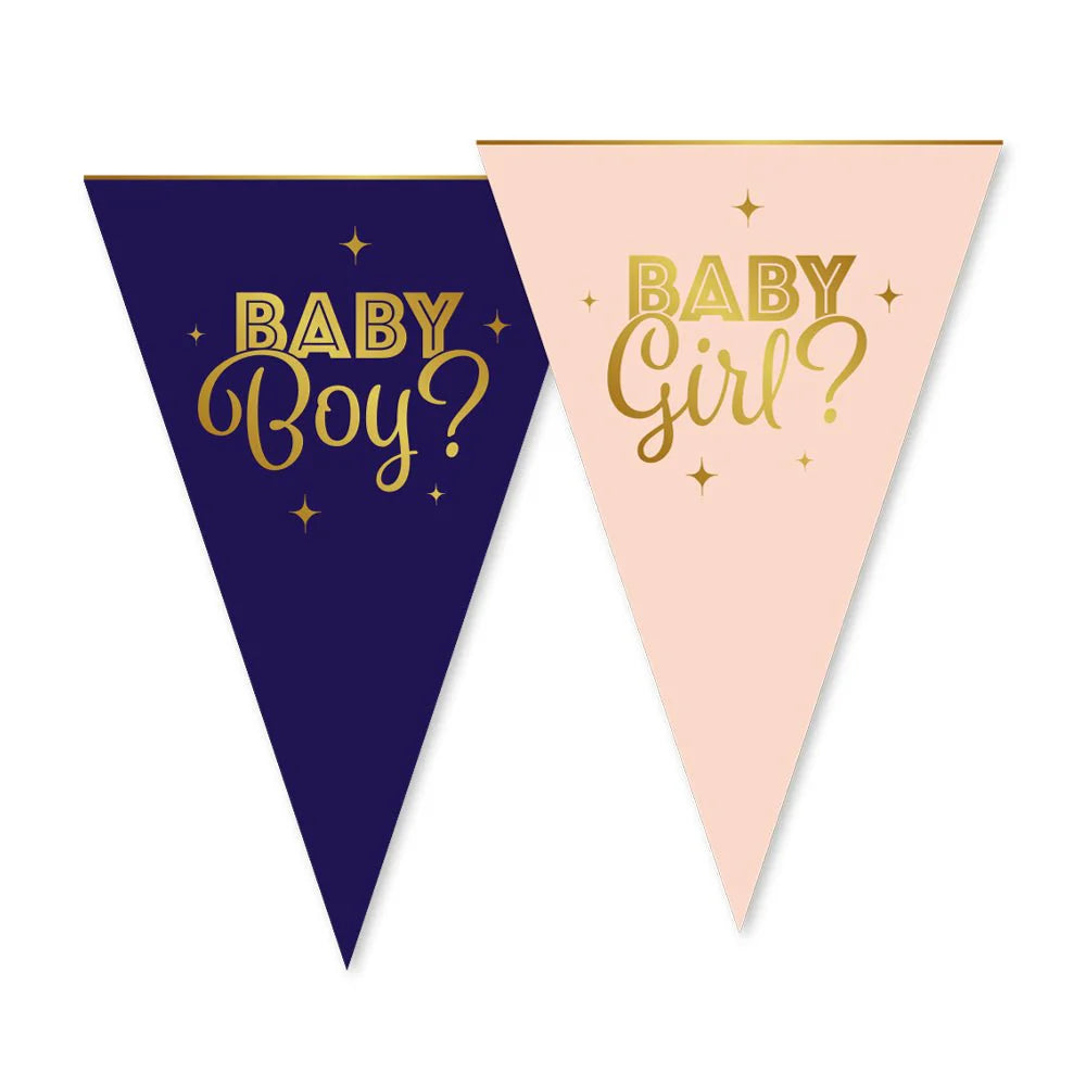 FIESTA vlaggenlijn Papier 6m 20x30cm - Gender Reveal