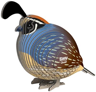 EUGY 3D Model - Kwartel