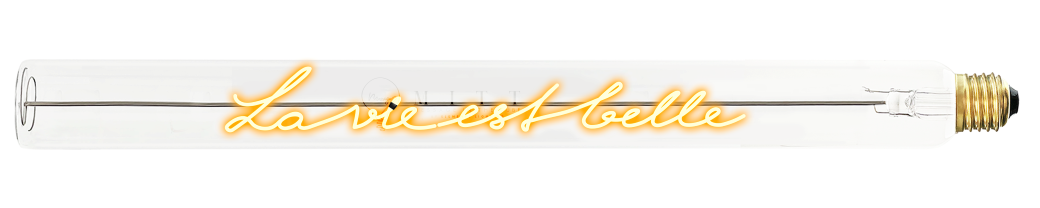 MESSAGE IN THE TUBE  - La vie est belle - T40 2200K dimbaar