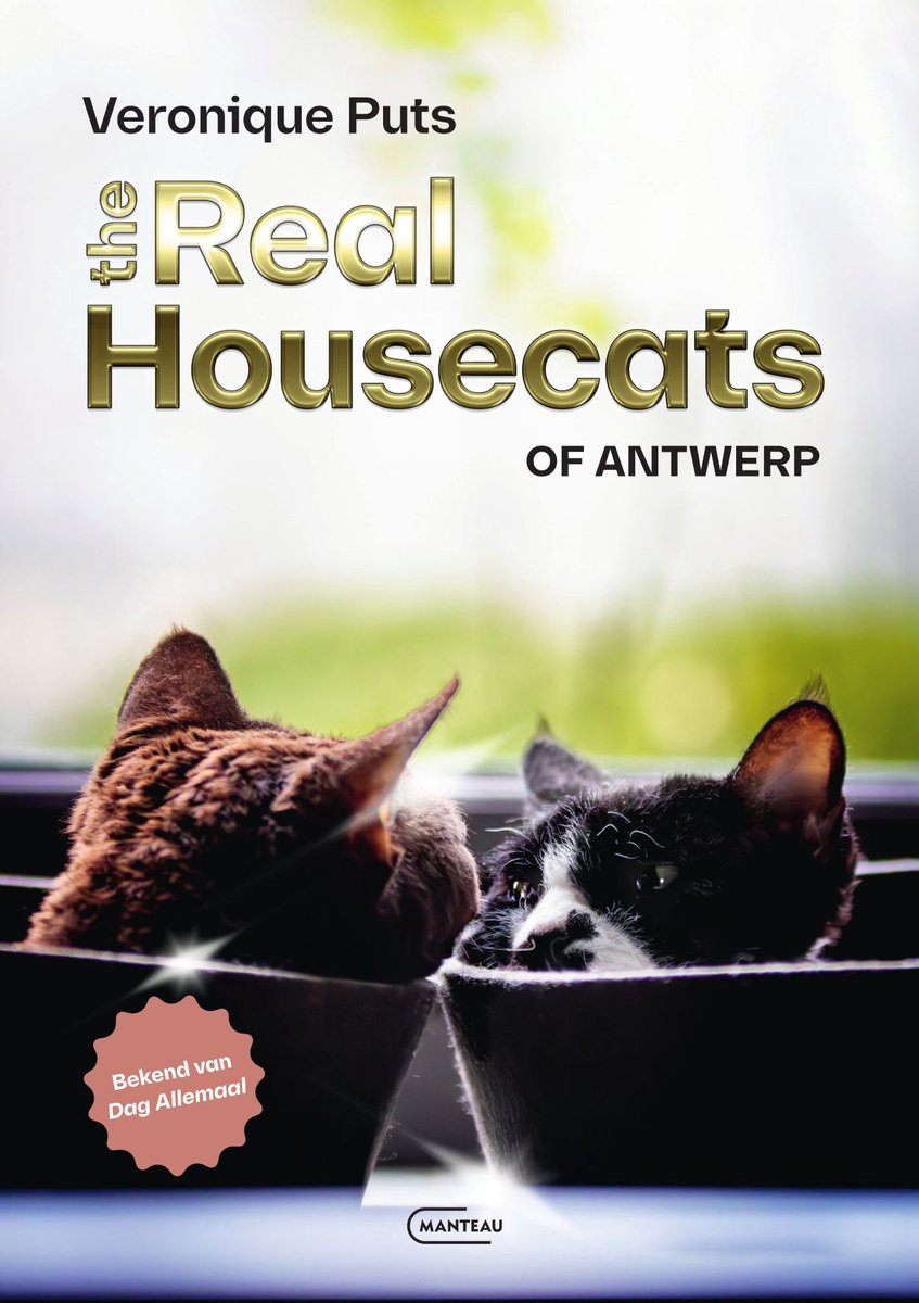 The real housecats of Antwerp - Veronique Puts