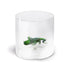 WD Glas 250ml in borosilicaat glas - alligator deco
