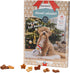 BEEZTEES Adventskalender - Hond