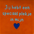YETT Tegeltje - Jij hebt een speciaal plekje in mijn hart - oranje/blauw