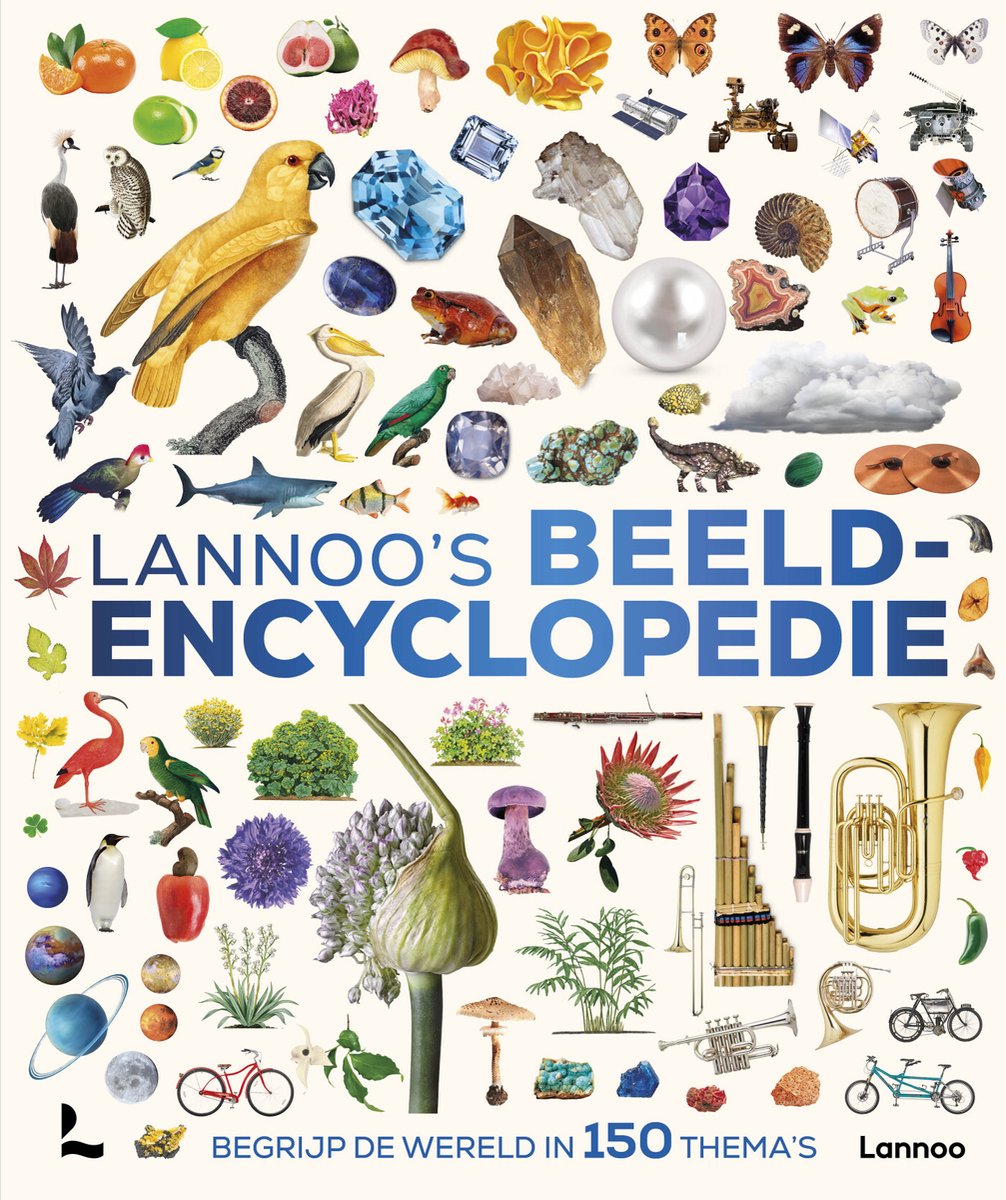 Lannoo's beeldenencyclopedie