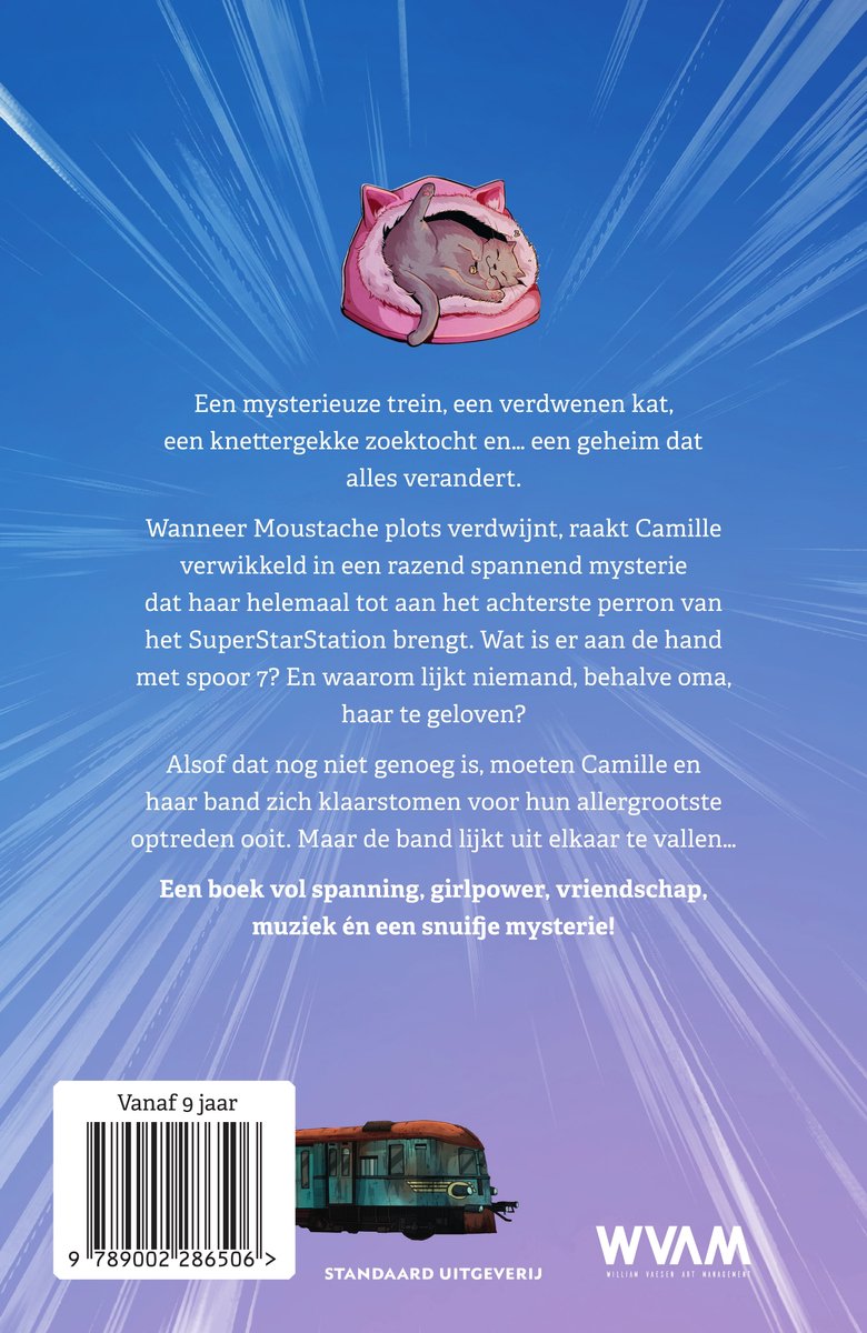 Camille - Het geheim van spoor 7 - Danny de Vos