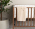 PERICLES Deken wieg bear cream - 75x100cm