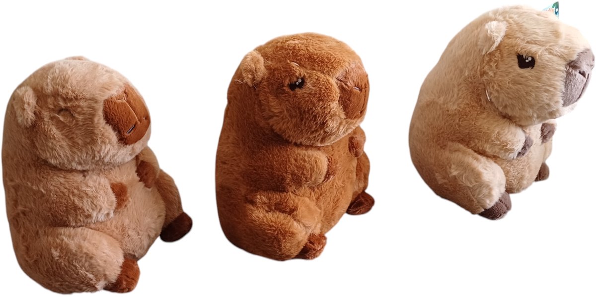 CAPYBARA Pluche 3ass - 22cm