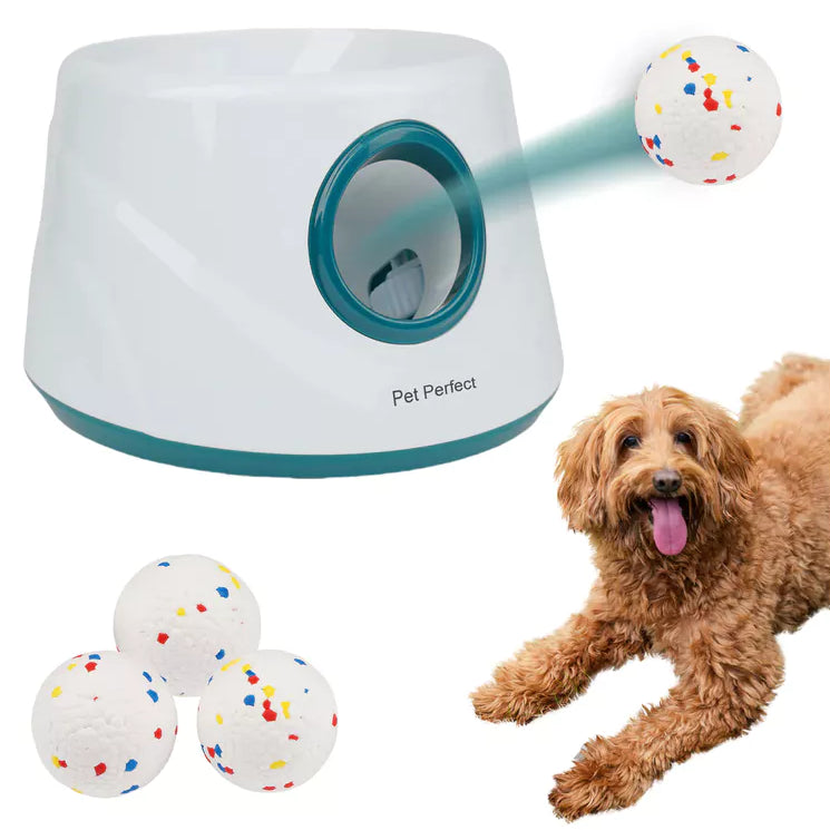 PET PERFECT Automatische ballenwerper - Blauw - S