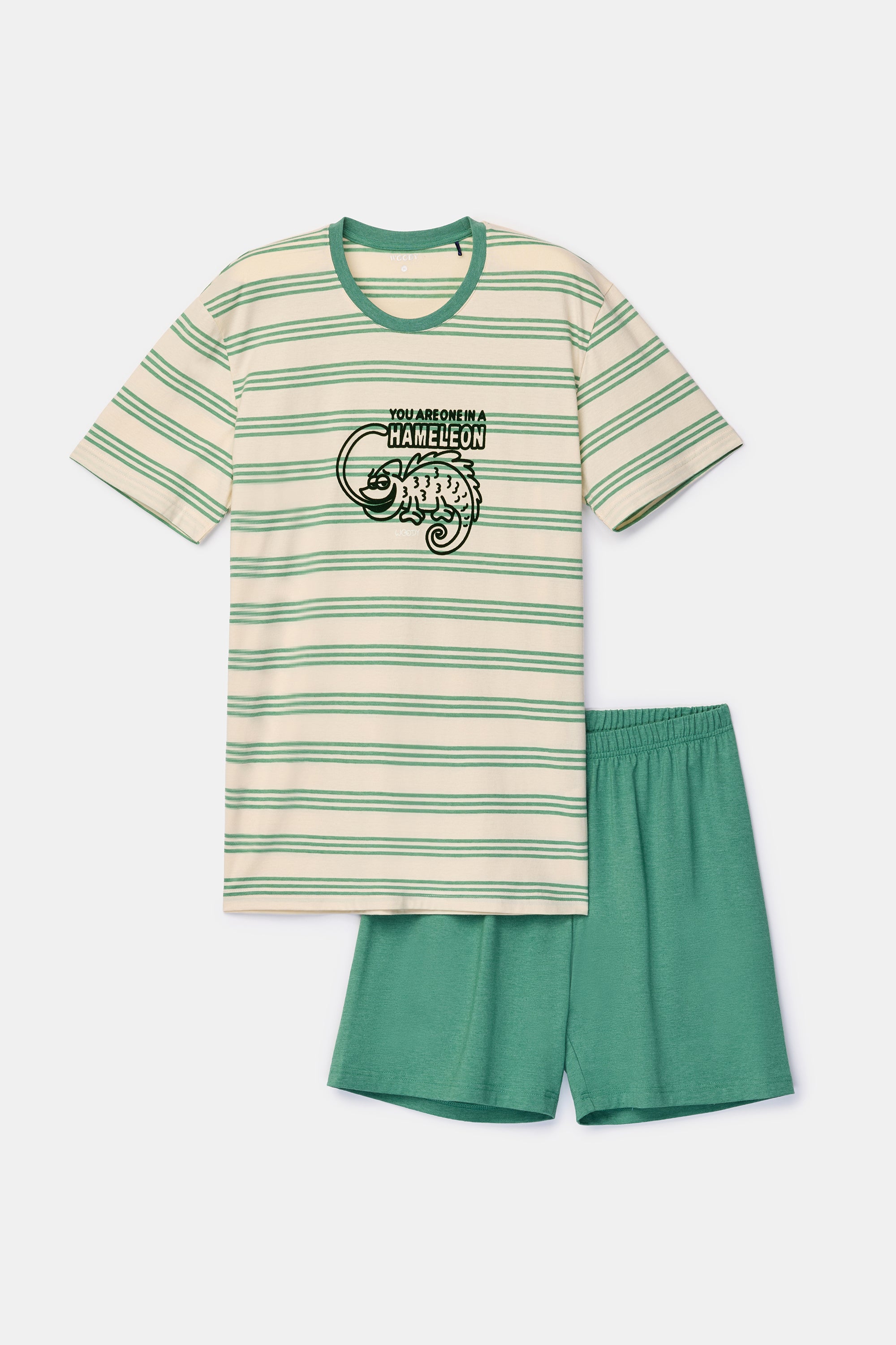 WOODY Heren pyjama - groen gestreept - L