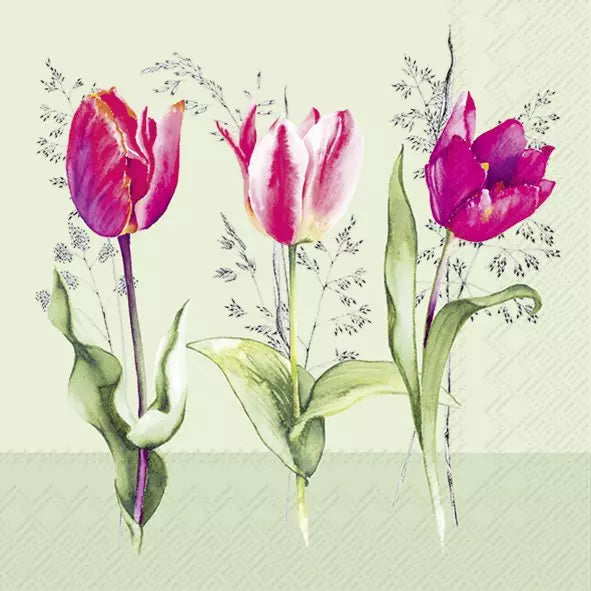 IHR Servetten 33x33cm - tulip beauties   4086501629