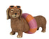 Figuur hond teckel met zwemband - 45x21x27cm - bruin/ multi